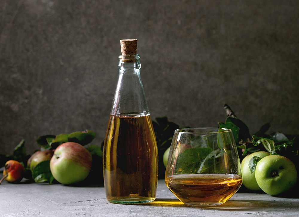 천연발효식초지도사